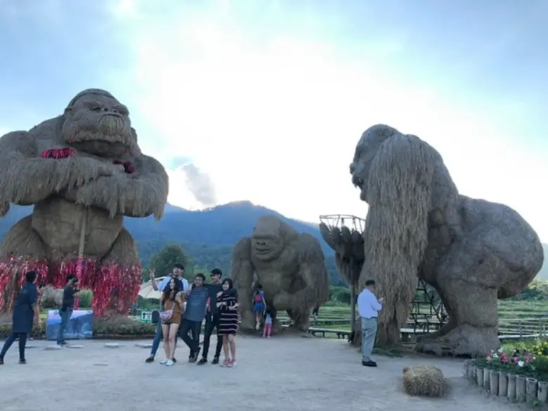 เชียงใหม่มิวสิคเฟสติวัล ตอน KONG Jungle Mountain รักกันให้มัน(ส์)ตึงเฒ่า