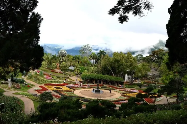 “สีสันแห่งดอยตุง” ครั้งที่ 5 อินดอย เฟสติวัล เยอะ ครบ คุ้มค่า สนุกได้ในดอยเดียว