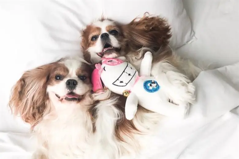 นางสาวเมสินี วิสิฐนรภัทร ผู้อำนวยการฝ่ายก...