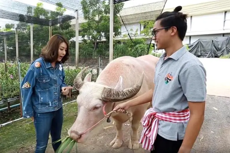 ทีวีไกด์: รายการ "หนีเที่ยวกัน" รวมฟินปี 61 “ฟลุค&ลี&บอล&เชียร์” ความลับหลุด!