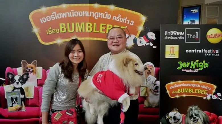 อาหารสุนัขเจอร์ไฮพาน้องหมาดูหนัง ครั้งที่ 13