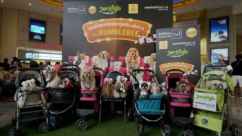 อาหารสุนัขเจอร์ไฮพาน้องหมาดูหนัง ครั้งที่ 13