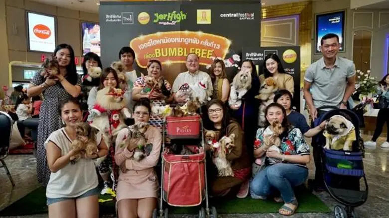 อาหารสุนัขเจอร์ไฮพาน้องหมาดูหนัง ครั้งที่ 13