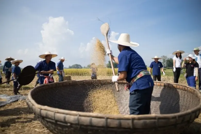กลุ่มเซ็นทรัล จับมือ มูลนิธิชัยพัฒนา เปิดตัวข้าวเพื่อสุขภาพ ภายใต้ตรา“ทรัพย์-ปัน” พร้อมส่งเสริมเกษตรอินทรีย์จากใจ