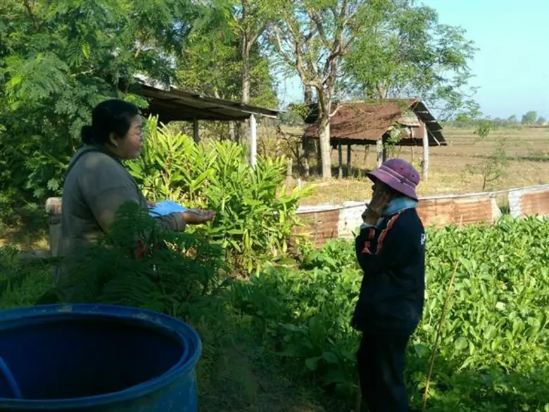 เผยสินค้า Top4 มหาสารคาม แนะพืชทางเลือก 'มันฯ-กล้วยหอมทอง-พืชผัก’ ทดแทนนาข้าวพื้นที่ S3/N