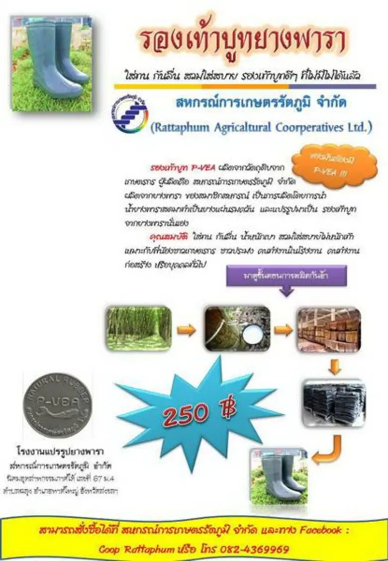 สหกรณ์การเกษตรรัตภูมิ จำกัด แปรรูปผลิตภัณฑ์ยาง เพิ่มมูลค่าสินค้า แก้ไขปัญหาราคายางตกต่ำ ด้วยกลไกลสหกรณ์
