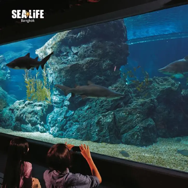 ซีไลฟ์ฯ ปล่อยโปรฯลับวันเด็ก...เที่ยวทั้งปีไม่อั้นกับ “สมาชิกรายปี Annual Pass” การันตีประสบการณ์ความสนุกไม่ซ้ำตลอดทั้งปี ในราคาสุดคุ้ม!