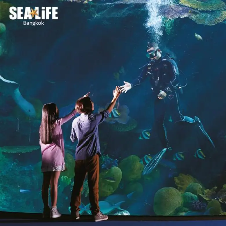 ซีไลฟ์ฯ ปล่อยโปรฯลับวันเด็ก...เที่ยวทั้งปีไม่อั้นกับ “สมาชิกรายปี Annual Pass” การันตีประสบการณ์ความสนุกไม่ซ้ำตลอดทั้งปี ในราคาสุดคุ้ม!