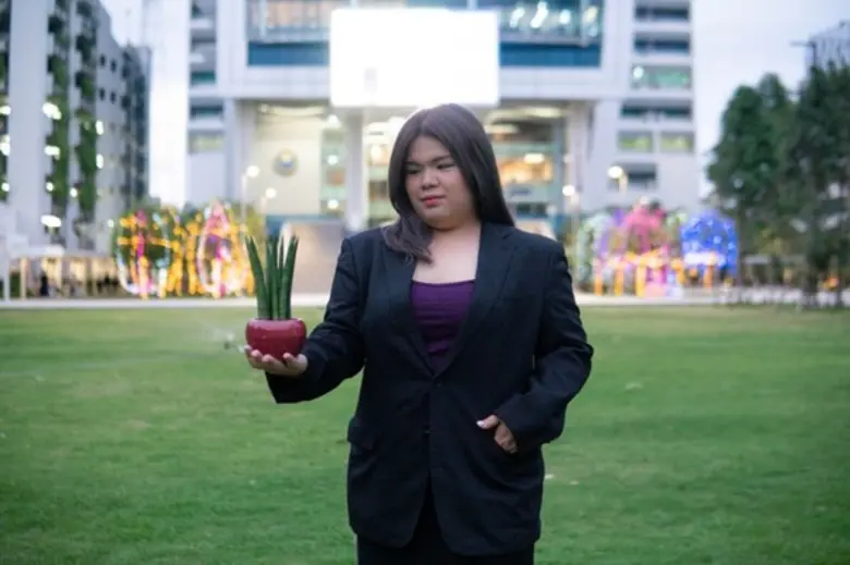 ต้นไม้ Sansevieria Cylindrica หรือว่านงาช...