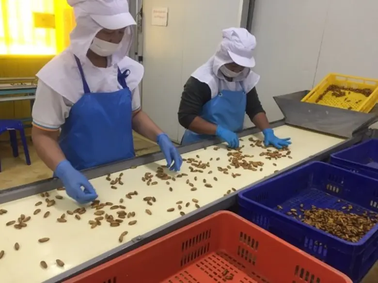 สำนักงานพัฒนาฝีมือแรงงานเพชรบูรณ์ โดยกรมพ...