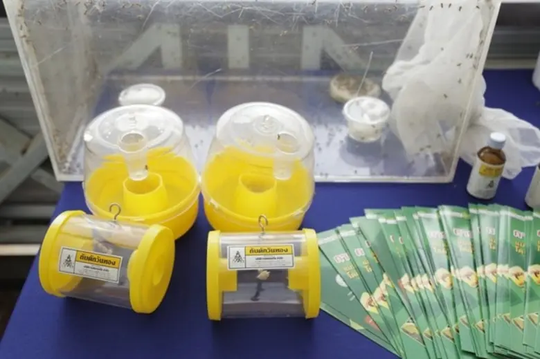 กรมส่งเสริมการเกษตร เดินหน้าสร้างความเข้า...