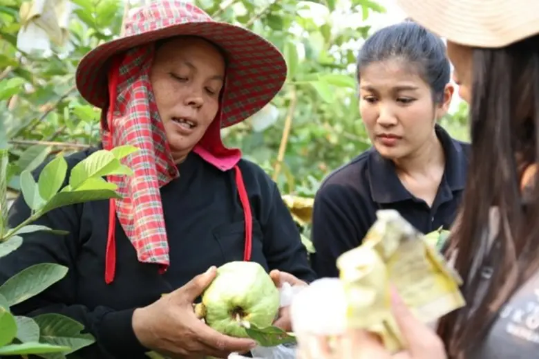 สามพรานโมเดล อะคาเดมี่ เปิด 5 เทรนด์ น่ารู้สำหรับผู้บริโภคอินทรีย์รับปี 2562 พร้อมเปิดหลักสูตรการขับเคลื่อนเกษตรอินทรีย์ตามแนวทางสามพรานโมเดล	