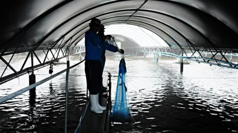 บริษัท เจริญโภคภัณฑ์อาหาร จำกัด (มหาชน) ห...