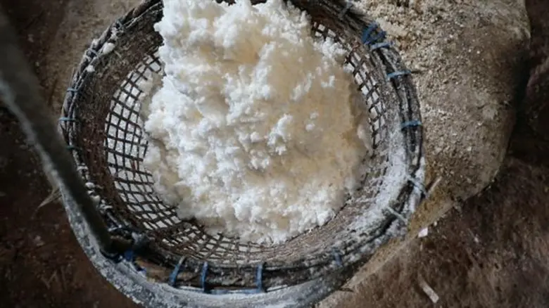 อากาศดีแบบนี้ มาตามพิธีกรหนุ่มอารมณ์ดี สม...