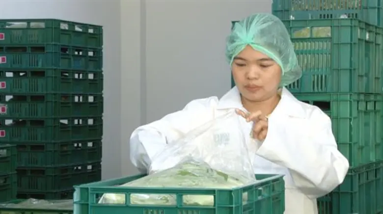 รายการ "ทันข่าวเช้า" ช่อง "MONO 29" (โมโน...