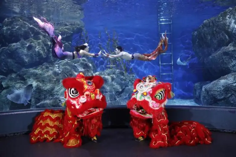 ซีไลฟ์ฯ สร้างสีสันวันตรุษจีน...เชิดสิงโต โชว์นางเงือก ตลอดสัปดาห์ พร้อมแจกอั่งเปาคนเกิดปีหมู หรือจูงมือคนเกิดปีหมู ลดราคาบัตรเข้าชม 30% ทันที!