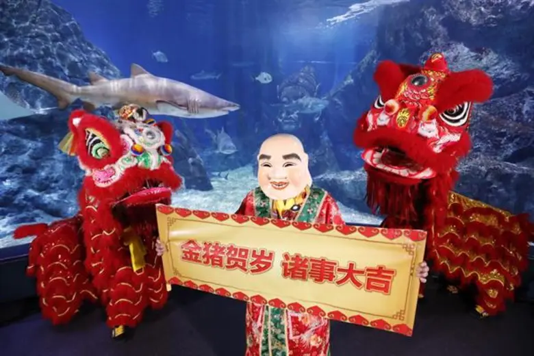 ซีไลฟ์ฯ สร้างสีสันวันตรุษจีน...เชิดสิงโต โชว์นางเงือก ตลอดสัปดาห์ พร้อมแจกอั่งเปาคนเกิดปีหมู หรือจูงมือคนเกิดปีหมู ลดราคาบัตรเข้าชม 30% ทันที!