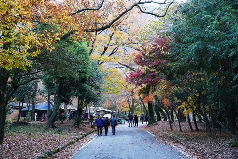 ตามไปฟิน อินชอลลานัมโดกับ Happy Korea by ...