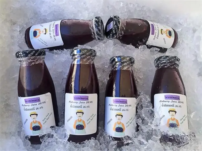 NFV Farm จับเทรนด์ตลาด คนรักสุขภาพ เปิดตัว น้ำมัลเบอร์รี่ ตรานายหม่อนหวาน