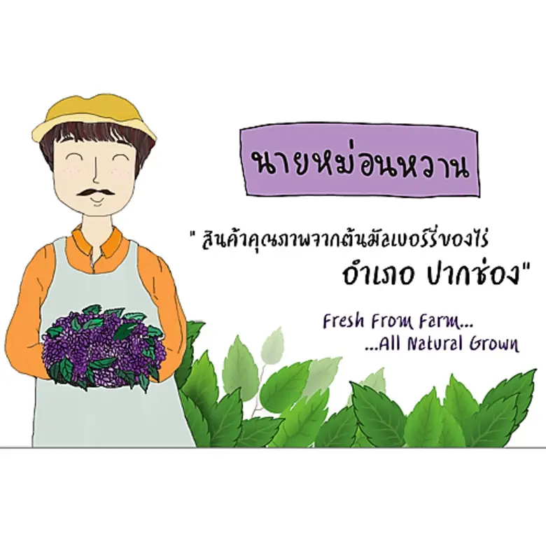 NFV Farm จับเทรนด์ตลาด คนรักสุขภาพ เปิดตัว น้ำมัลเบอร์รี่ ตรานายหม่อนหวาน