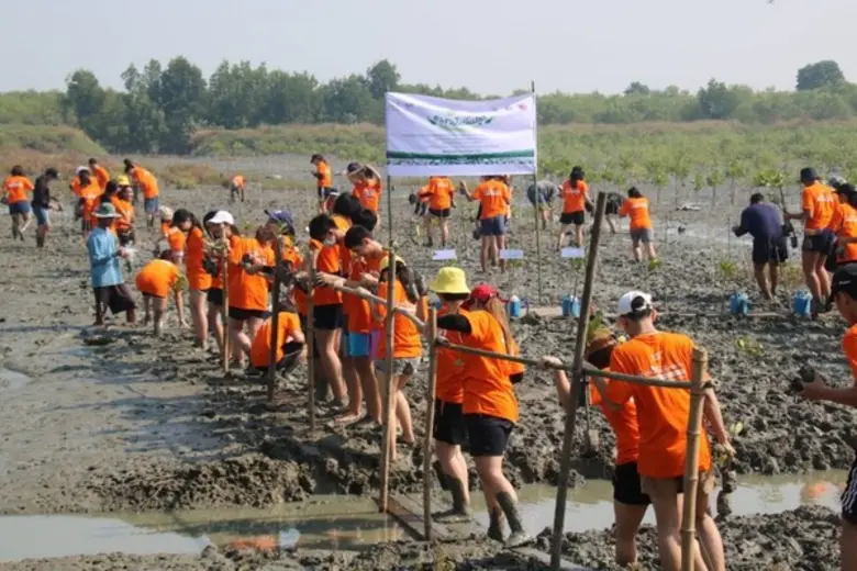 ศิษย์เก่า-ศิษย์ปัจจุบัน DPU ร่วมจิตอาสาทำความดี ปลูกป่าชายเลนฟื้นฟูแหล่งธรรมชาติ