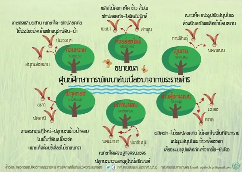 นางดาเรศร์ กิตติโยภาส รองอธิบดีกรมส่งเสริ...