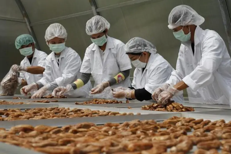 เพื่อรองรับการเติบโตของสังคมเกษตรอินทรีย์...