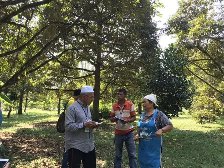 ทุเรียนคุณภาพ 3 จังหวัดชายแดนใต้ คืบหน้า
