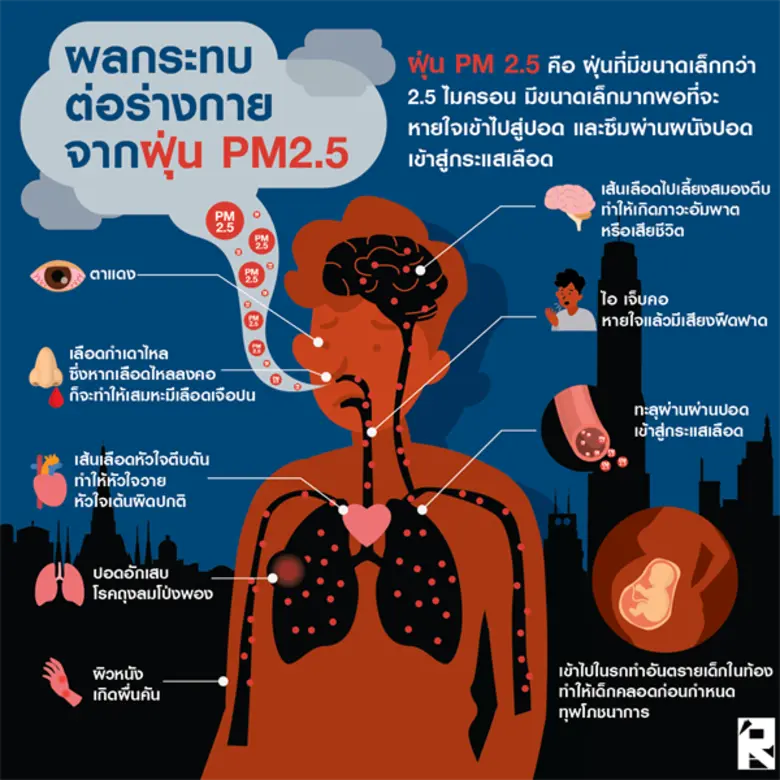 แพทย์ชี้ฝุ่น PM 2.5 เล็กทะลุปอดเข้ากระแสเลือด ส่งผลกระทบต่อร่างกายหลายจุดทั่วร่าง