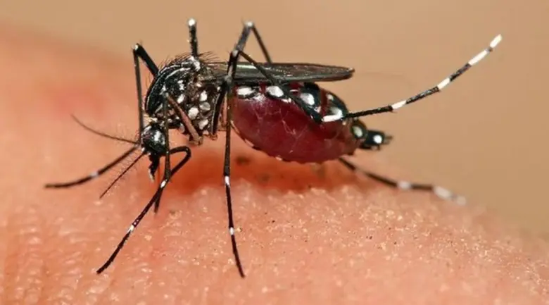 สคร.10 อุบลฯ เตือน อากาศเปลี่ยนแปลงบ่อย เสี่ยงป่วย ไข้เลือดออก ไข้หวัดใหญ่