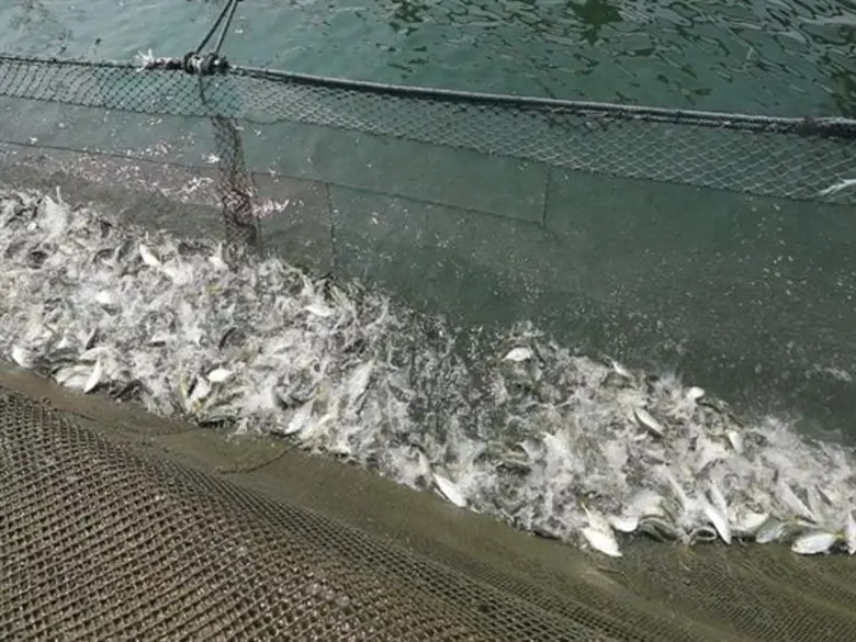 หนีฝุ่น PM2.5 ตามสาว โบว์ลิ่ง-ปริศนา กัมพ...