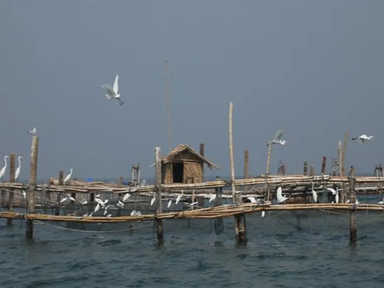 ทีวีไกด์: รายการ “อึ้ง ทึ่ง เสียว” โบว์ลิ่ง พาไปสูดอากาศบริสุทธิ์ ที่โป๊ะจับปลากลางทะเล