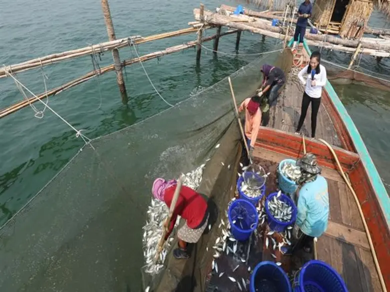 ทีวีไกด์: รายการ “อึ้ง ทึ่ง เสียว” โบว์ลิ่ง พาไปสูดอากาศบริสุทธิ์ ที่โป๊ะจับปลากลางทะเล