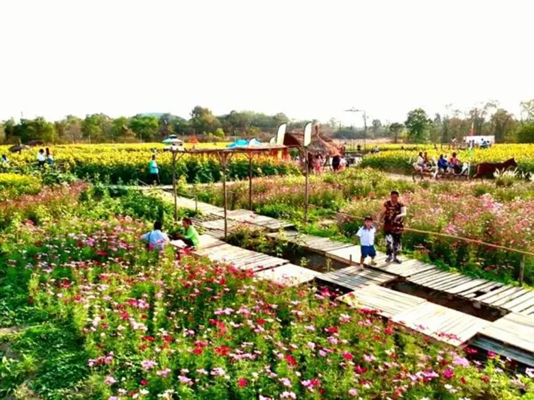 เอสซีจี จับมือชุมชนบ่อทอง และหน่วยงานภาครัฐ-เอกชน  ฟื้นพื้นที่เสื่อมโทรม สู่แหล่งท่องเที่ยววิถีชุมชน “ทุ่งทานตะวันบาน” จ.ปราจีนบุรี ด้วยแนวคิดเศรษฐกิจหมุนเวียน (Circular Economy)