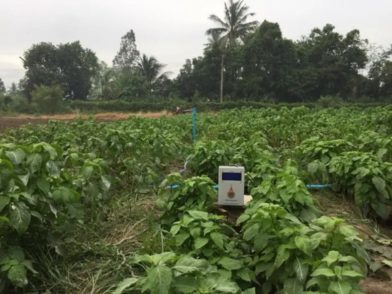 ราชมงคลพระนคร ยกระดับสมาร์ทฟาร์ม คิดค้นชุดอุปกรณ์ควบคุมระบบรดน้ำอัตโนมัติ ผ่านสมาร์ทโฟน
