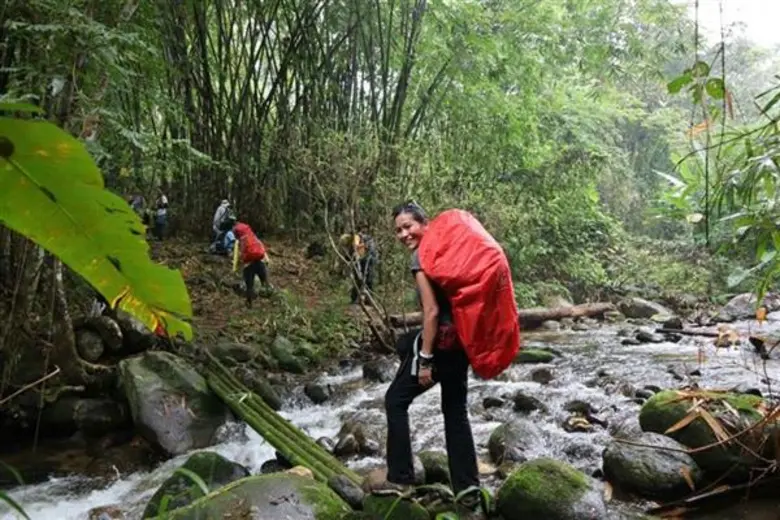 ไม่มีป่า ไม่มีน้ำ ไม่มีอากาศ บทพิสูจน์ในเส้นทาง พิชิตโมโกจู อช. แม่วงก์ "ปลูกป่าในใจคน" ททท. - อุทยานฯ ร่วมปลุกจิตสำนึกในการอนุรักษ์ป่า - จัดการขยะในป่า