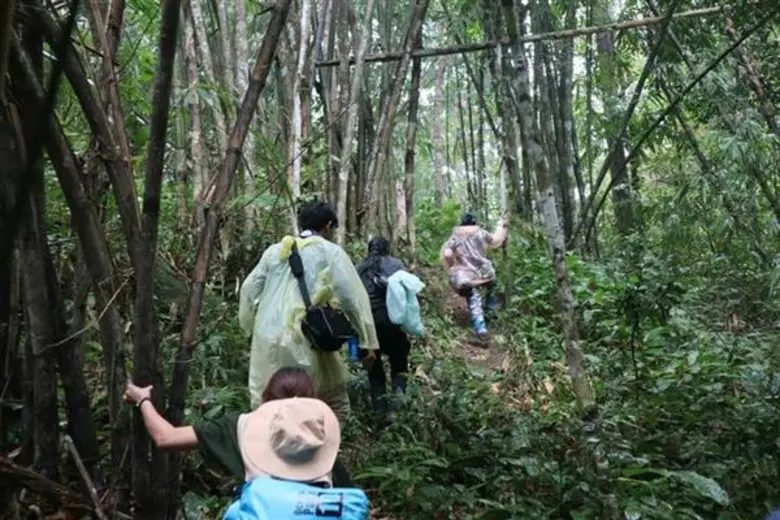 ไม่มีป่า ไม่มีน้ำ ไม่มีอากาศ บทพิสูจน์ในเส้นทาง พิชิตโมโกจู อช. แม่วงก์ "ปลูกป่าในใจคน" ททท. - อุทยานฯ ร่วมปลุกจิตสำนึกในการอนุรักษ์ป่า - จัดการขยะในป่า