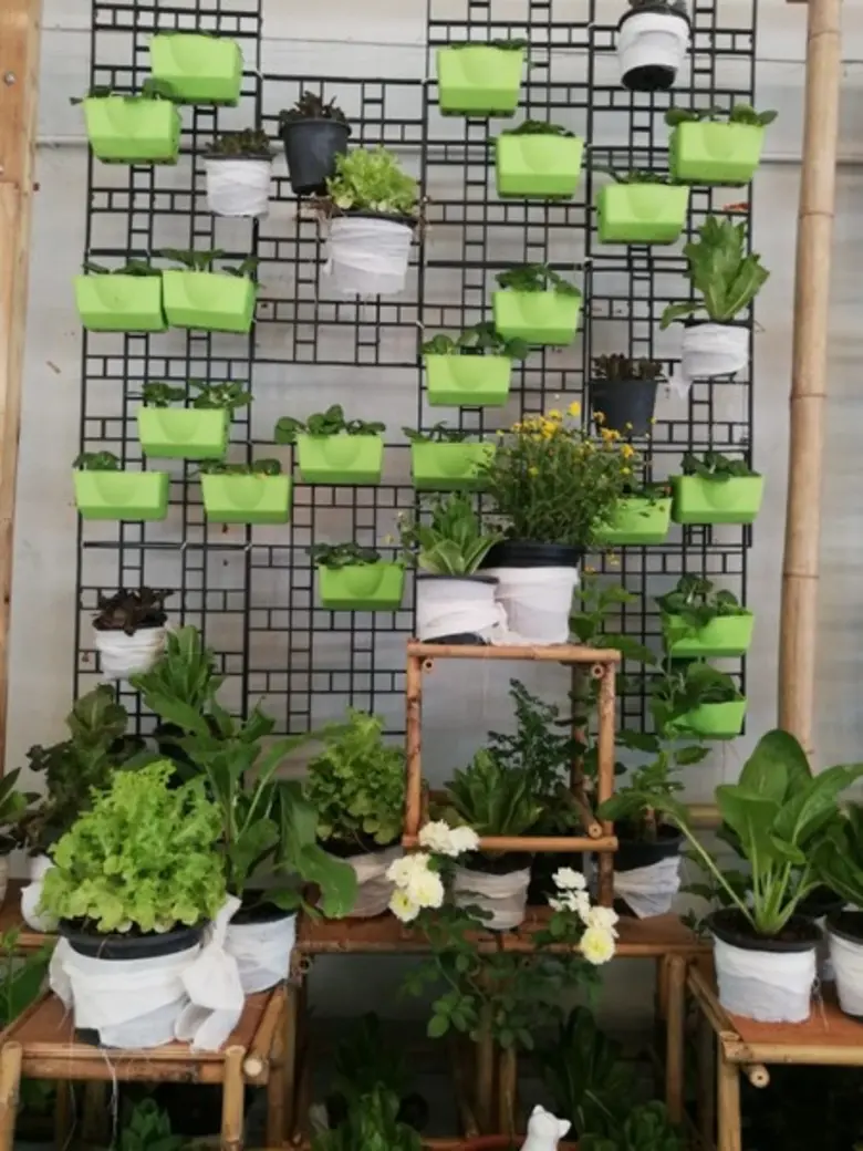 หนุนเทรนด์ “สวนผักคนเมือง” สู่การสร้างประเทศยั่งยืน