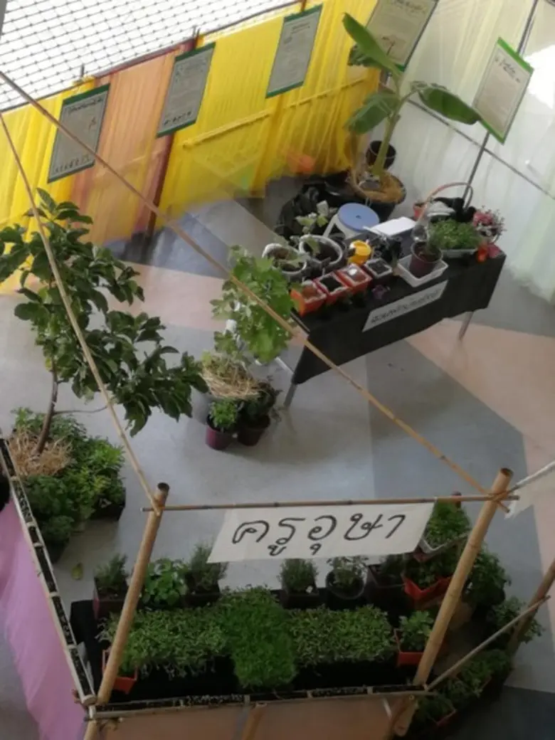 หนุนเทรนด์ “สวนผักคนเมือง” สู่การสร้างประเทศยั่งยืน