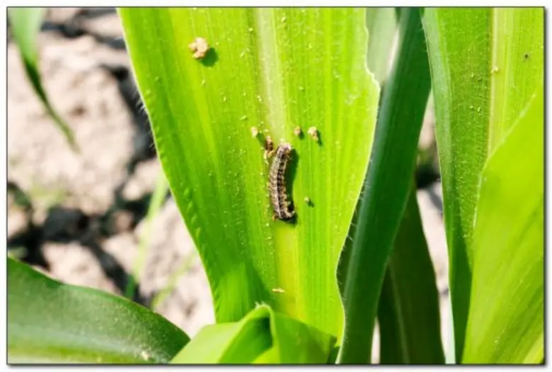 นางอัญชนา ตราโช รองเลขาธิการสำนักงานเศรษฐ...