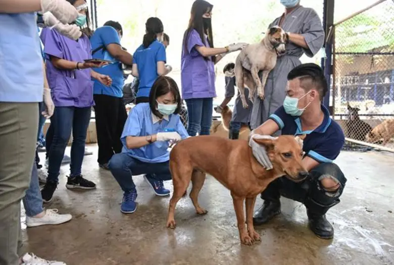 รพส.ทองหล่อ จัดโครงการ “ทองหล่ออาสา”นำทีมสัตวแพทย์ฉีดวัคซีนประจำปี ปันรักให้เพื่อนสัตว์สี่ขา