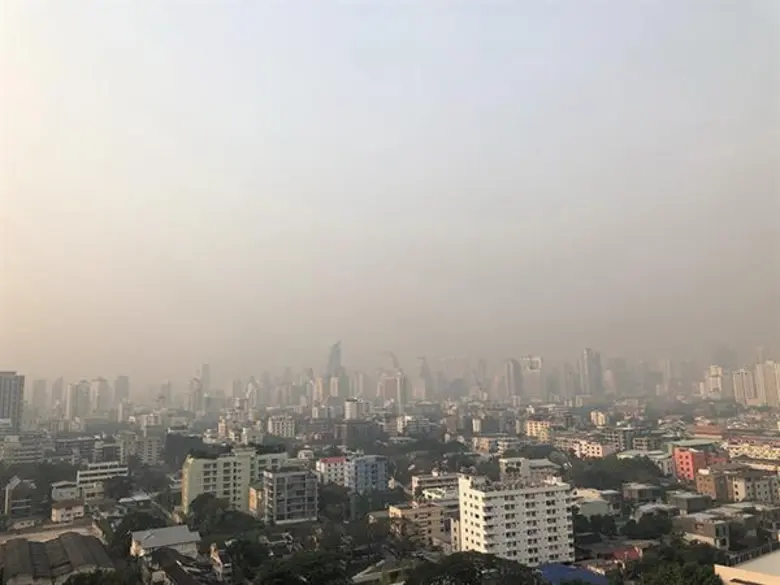 PM2.5 ฝุ่นจิ๋ว ที่ไม่จิ๋วกับผลกระทบทางสมอง