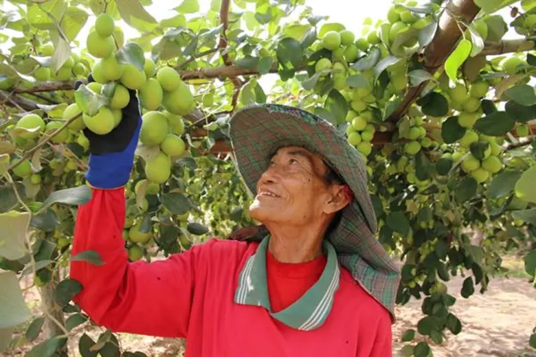 ไปรษณีย์ไทย เผย 5 วิสาหกิจชุมชน โครงการไปรษณีย์ไทย...เพื่อแผ่นดินธรรม แผ่นดินทอง พัฒนารูปแบบผลิตภัณฑ์แล้วปัง! สร้างการเติบโตอย่างต่อเนื่อง