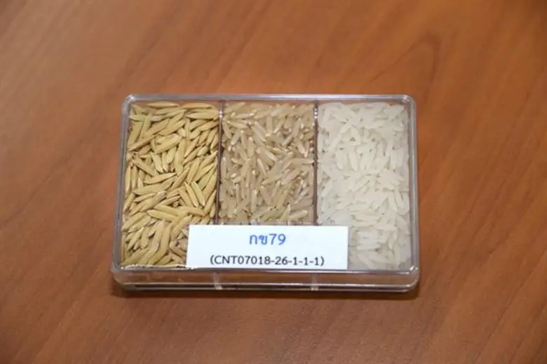 นายประสงค์ ประไพตระกูล รักษาราชการแทนอธิบ...