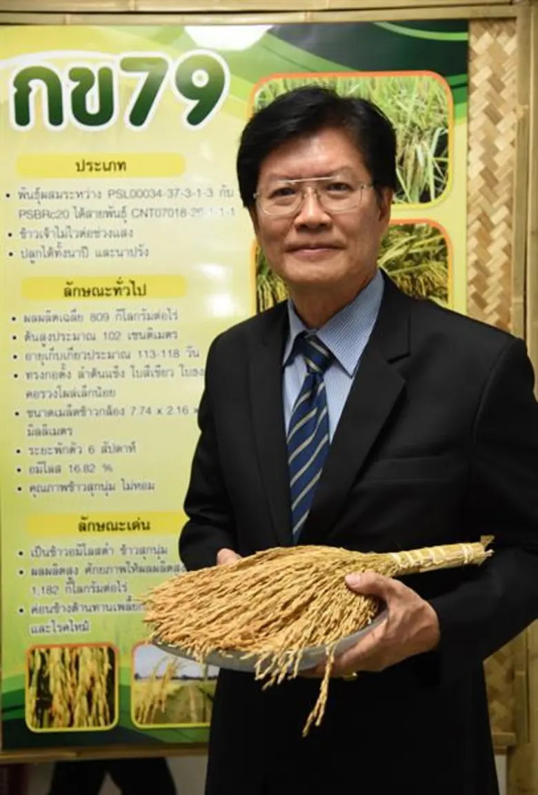 กรมการข้าวรับรองข้าวพันธุ์ใหม่ผลผลิตสูง 1.2ตัน/ไร่ ตอบโจทย์ข้าวนุ่มส่งออกอาเซียน
