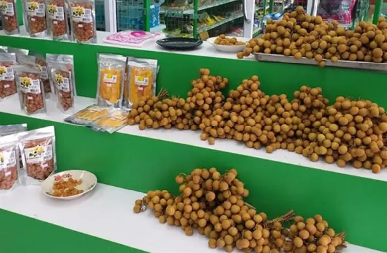 สหกรณ์การเกษตรประตูป่า จำกัด จังหวัดลำพูน ลงนาม MOU ซื้อขายลำไยกับสหกรณ์ชายแดนใต้ เชื่อมโยงเครือข่ายผลไม้ เตรียมรองรับลำไยออกผลผลิตเดือนกรกฎาคม