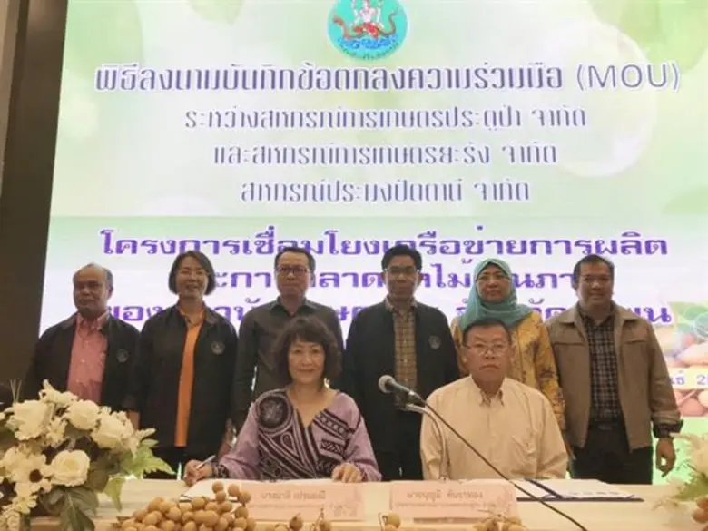 สหกรณ์การเกษตรประตูป่า จำกัด จังหวัดลำพูน ลงนาม MOU ซื้อขายลำไยกับสหกรณ์ชายแดนใต้ เชื่อมโยงเครือข่ายผลไม้ เตรียมรองรับลำไยออกผลผลิตเดือนกรกฎาคม