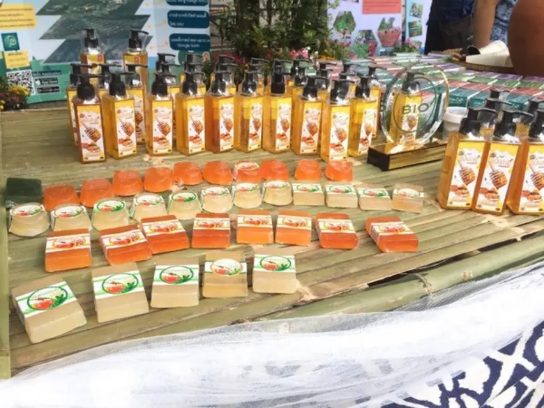 กรมป่าไม้-ราชบุรีโฮลดิ้ง เฟ้นหาสุดยอดป่าชุมชนตัวอย่างระดับประเทศ ในกิจกรรมประกวดป่าชุมชนตัวอย่าง โครงการ“คนรักษ์ป่า ป่ารักชุมชน” ปี 2562