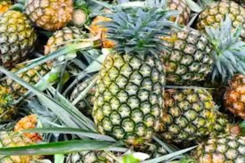 นางอัญชนา ตราโช รองเลขาธิการสำนักงานเศรษฐ...