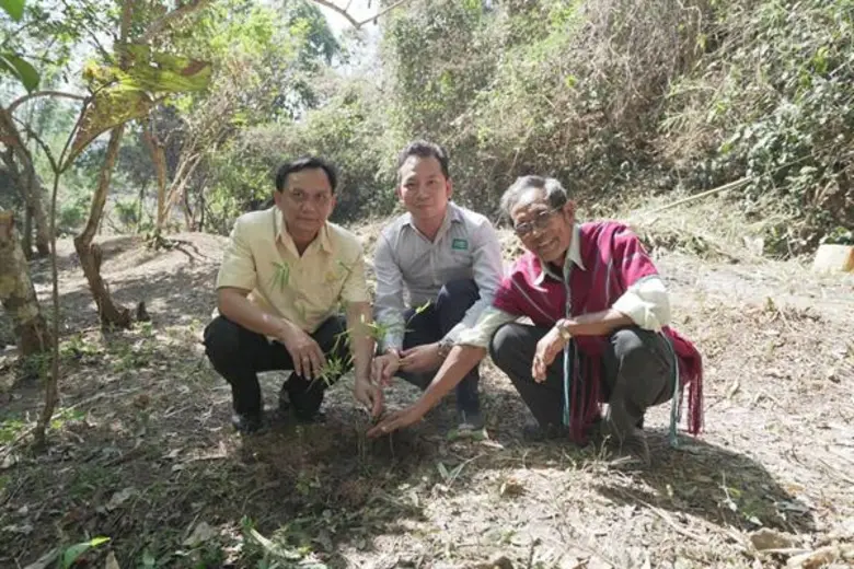 ไทวัสดุ ร่วมสืบสานพระราชปณิธานในโครงการป่ารักษ์น้ำ สร้างฝายชะลอน้ำ คืนธรรมชาติเพื่อลูกหลาน